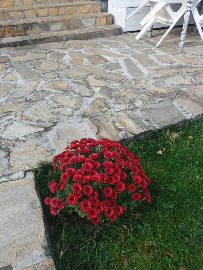 Вила Сладък Живот Tsigov Chark Esterno foto